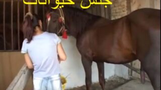 جنس حيوانات – مونيكا تمارس سكس نيك مع الحصان xxx